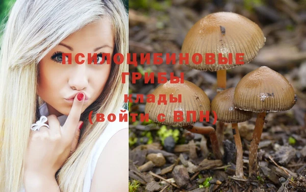 синтетический гашиш Белоозёрский
