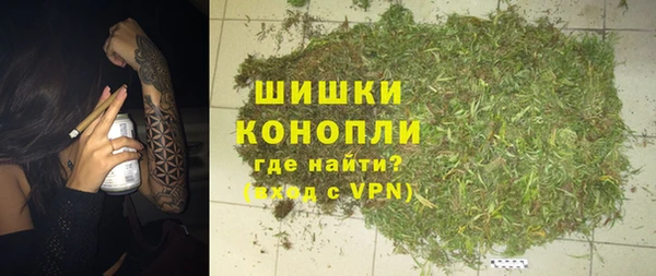 дмт Белокуриха
