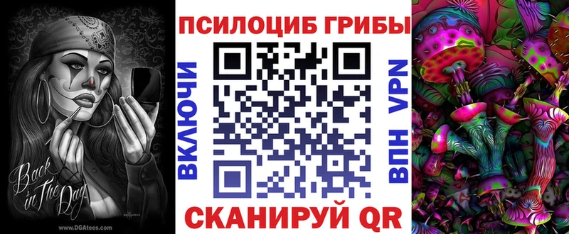 Псилоцибиновые грибы MAGIC MUSHROOMS  цена наркотик  Сковородино 